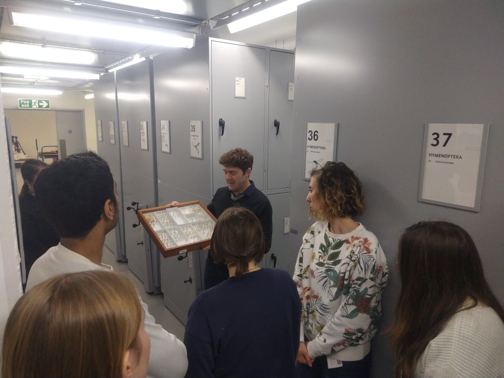 Students on a tour listening to Gavin Broad, curator of Hymenoptera at NHM London 