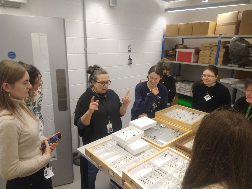 Erica with her box of 'flashy' fly specimens