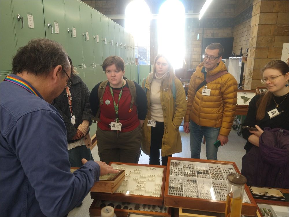 Max Barclay of NHM showing some of the Coleoptera collections 