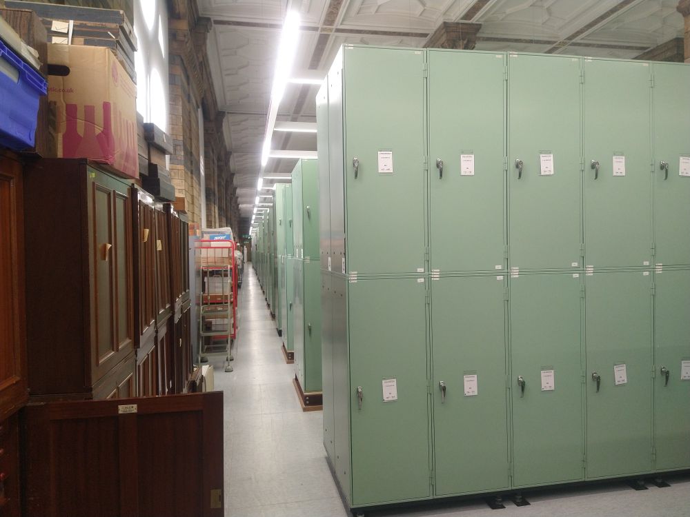A long row of metal cabinets containing beetle specimens