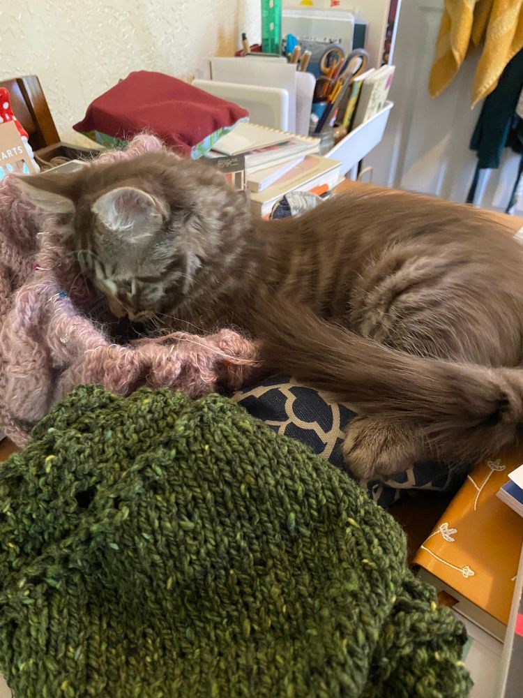A light brownish gray stripes kitten lays on a very messy table with her head and front legs buried in a pink knitting project. 