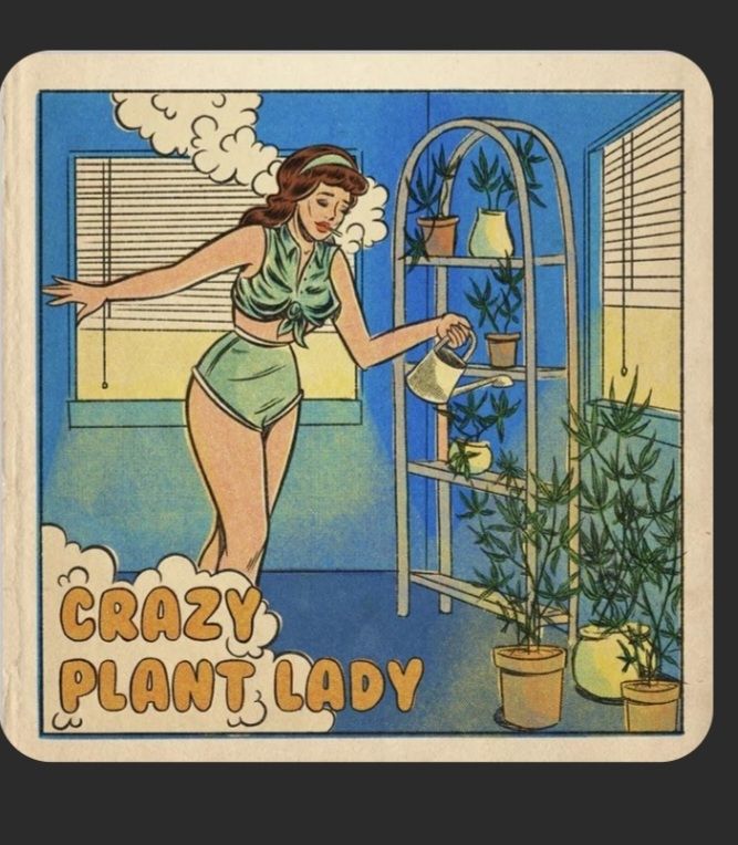 Crazy plant lady with the devils lettuce plants