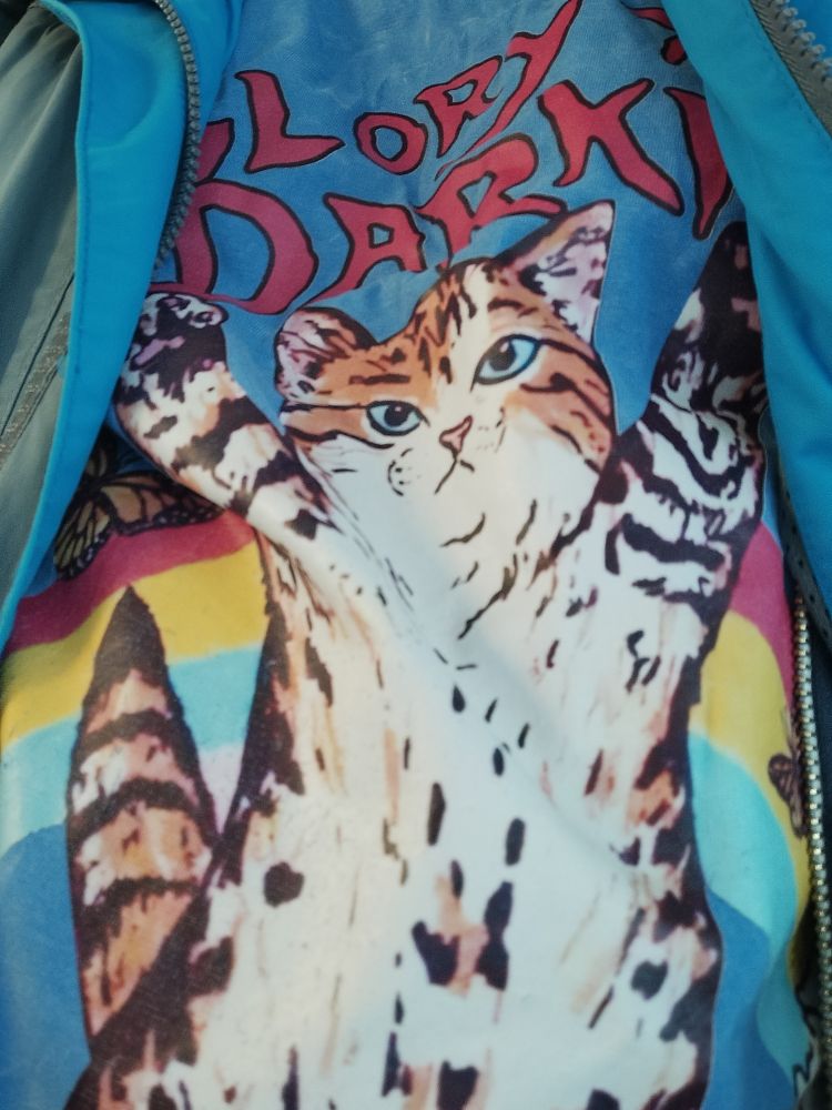 A blue t-shirt poking through a raincoat. It says, partially covered, Glory To The Darkness, and has a drawing of a cat on their hind legs, front paws raised to the sky with a stern expression. 