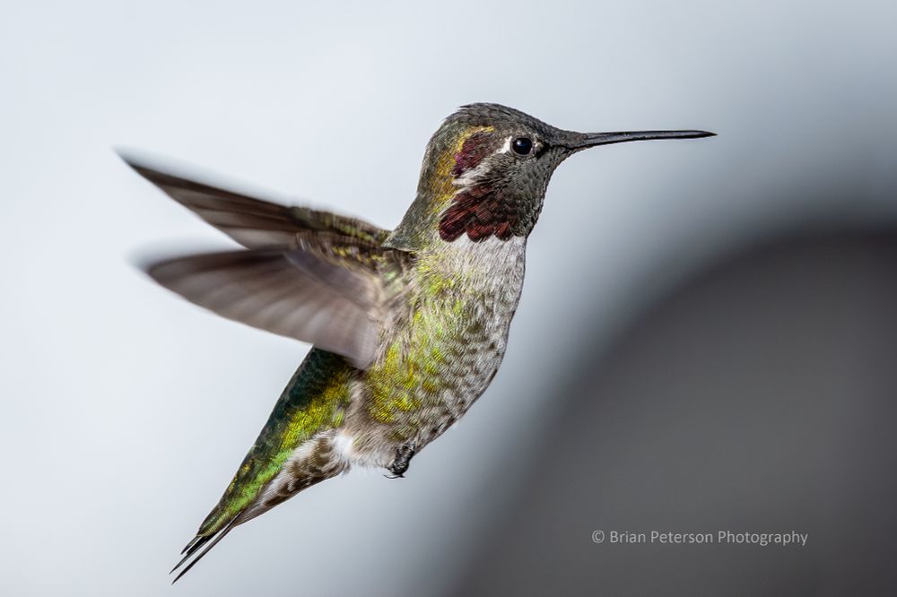 Nobody knows who "Anna" is, and the white background is my truck.