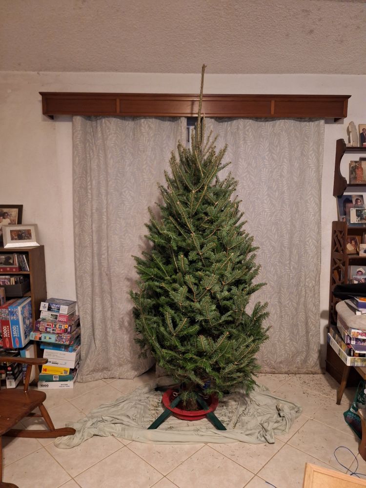 A short squat Christmas tree on a green sheet in a living room, it has about 1/2 foot of extra empty middle branch 