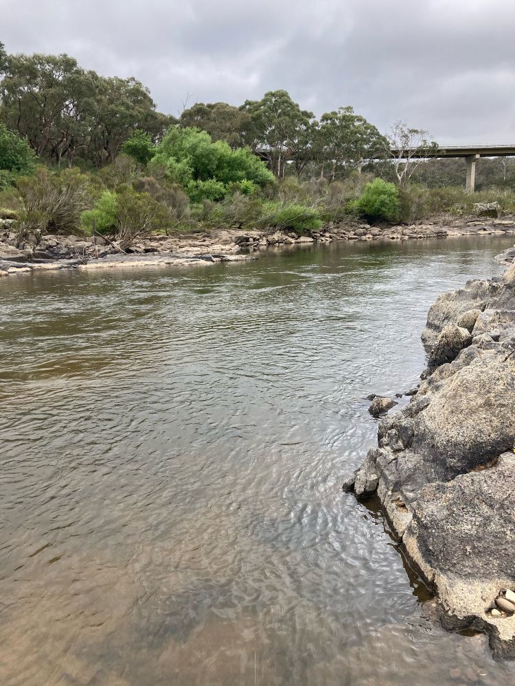 A photo of the rocky river with a bridge in the background 