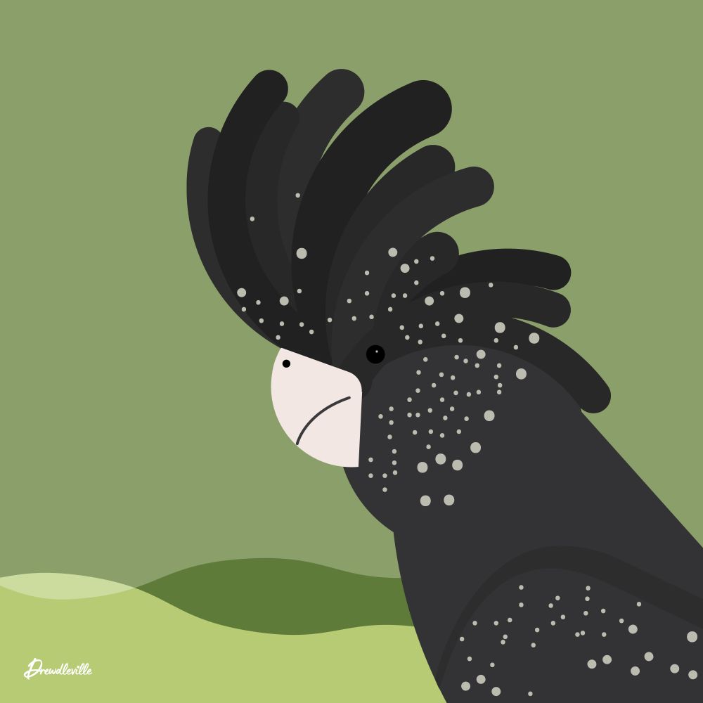 An illustration of a bird in profile with a black crest and light dots on its face and body. It has a short light beak.