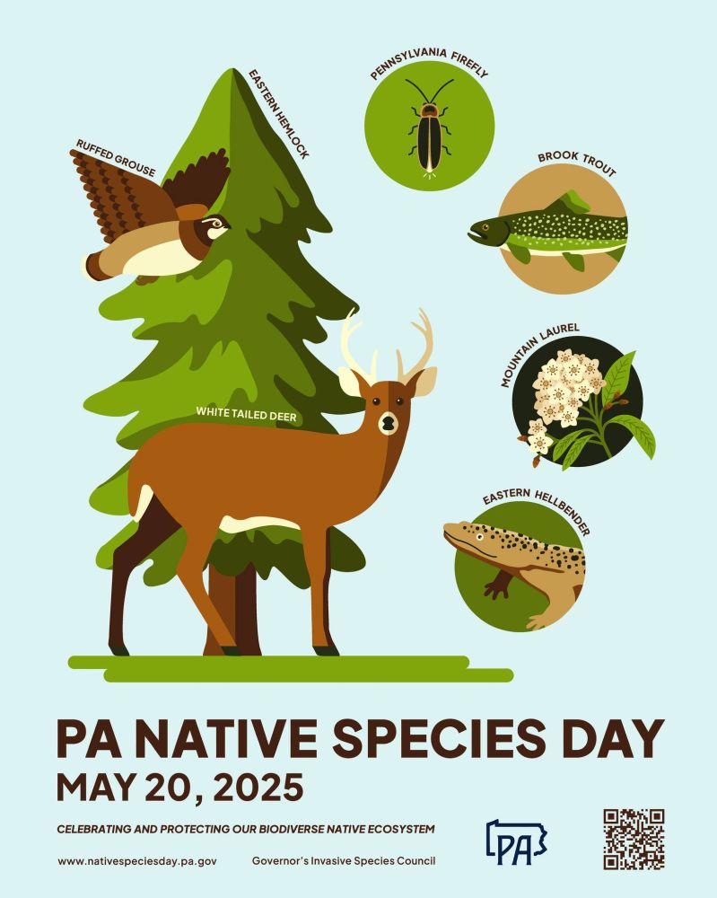 Poster celebrating PA native species day with deer, grouse, hemlock, firefly, trout, laurel, and hellbender in focus.