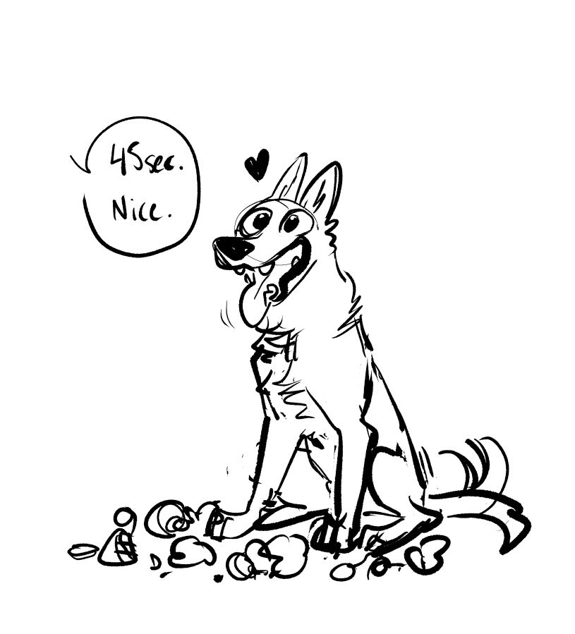 The dog is happy, ready for the next toy.