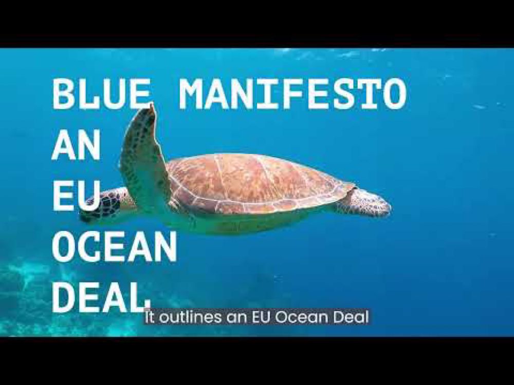 BLUE MANIFESTO The roadmap to a healthy ocean by 2030