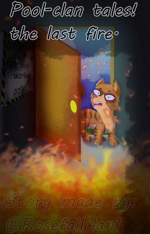 brown cat in the doorway, looking at the fire