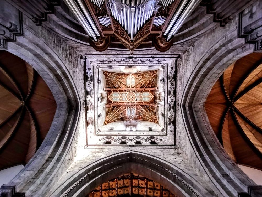 View upwards of the cathedral ceiling, on the inside, with the organ visible at the top of the photo. 