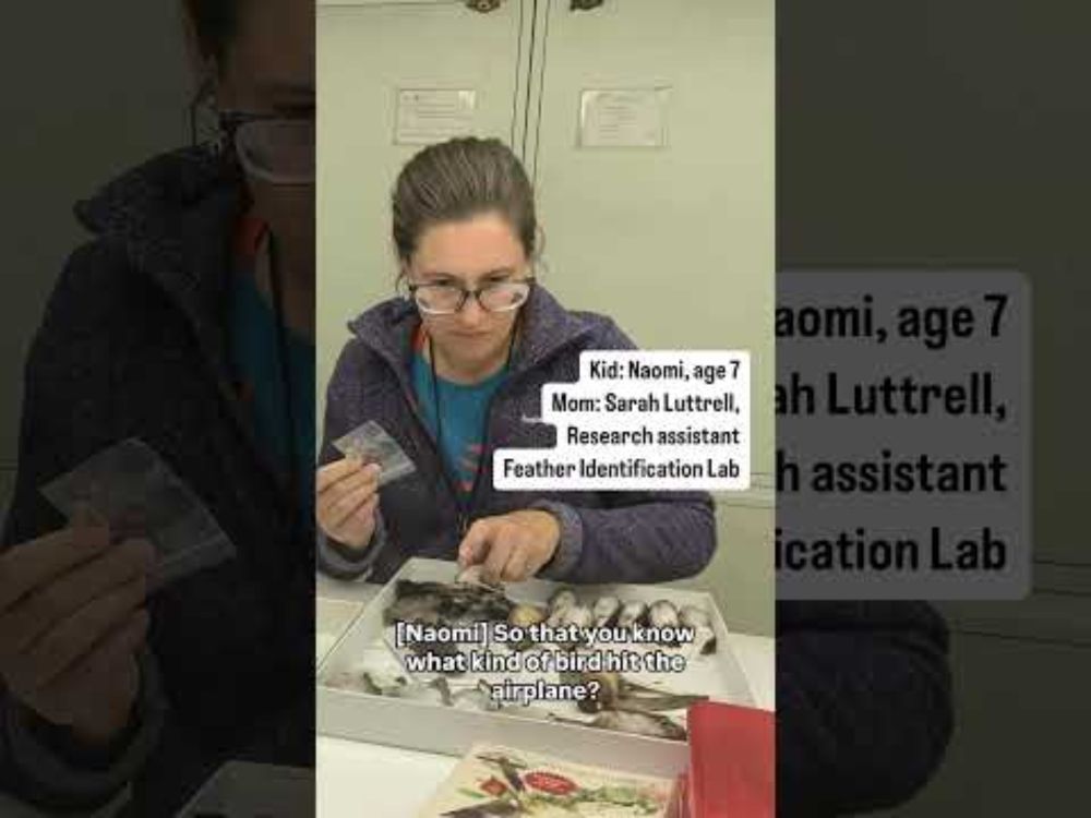 Mother's Day: Kids Explain What Their Moms at the Natural History Museum Do for Work