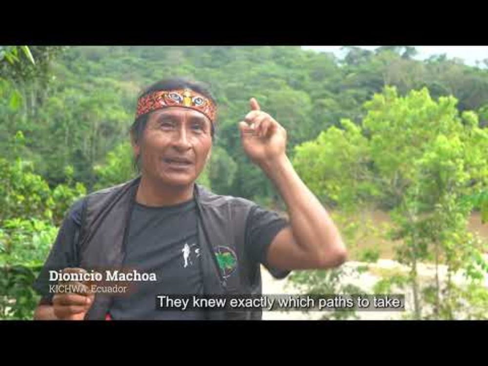 Mapping and Monitoring in Indigenous Territories (English)