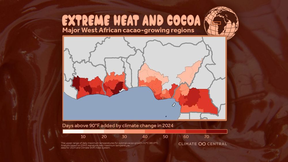 A map of coastal West Africa's cocoa-growing regions, showing how many days over 90F they experienced in 2024. 