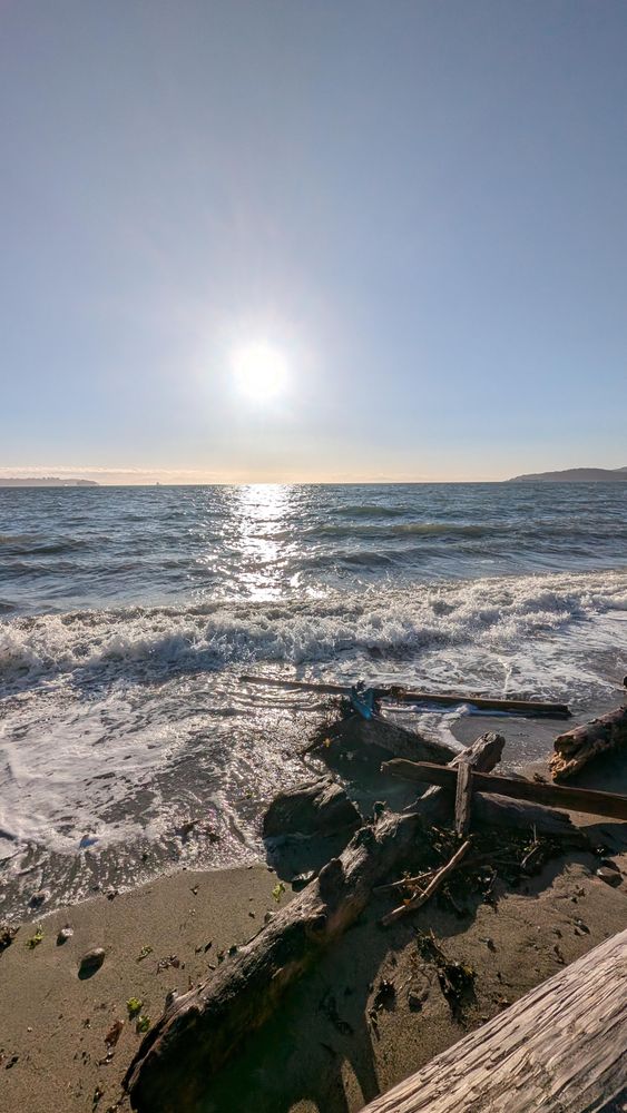 October 27, Dundarave Beach, colonial west vancouver, unceded and occupied MST lands. 

A windy day, with 1m waves and driftwood.