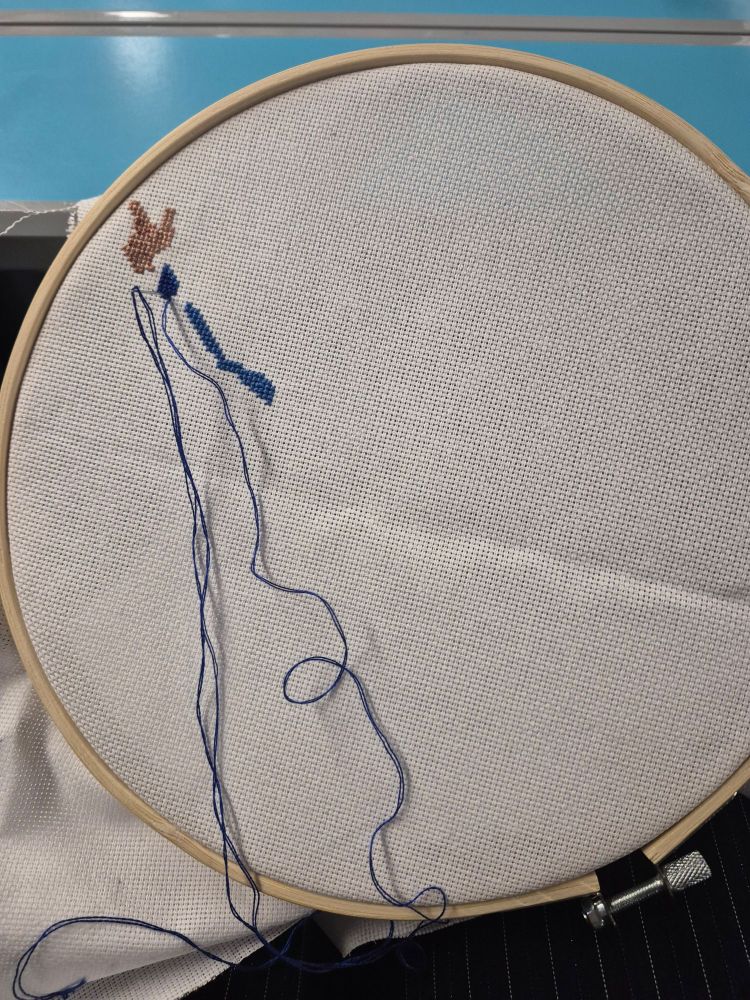 Tambour de broderie avec une toile aida. Une main et le début d’un bras portant une manche bleu y est brodé au point de croix.