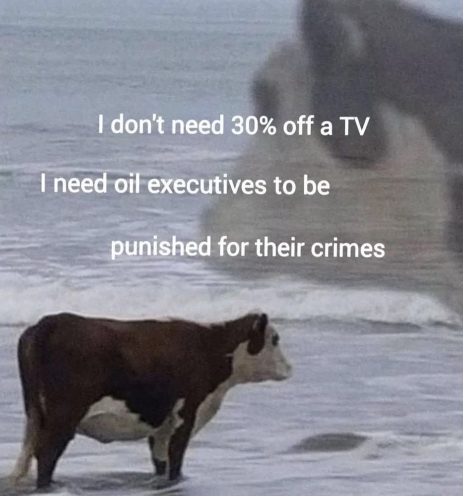 Meme of a cow on a beach that says “I don’t need 30% off a tv I need oil executives to be punished for their crimes”