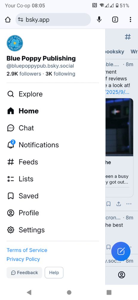 Screen shot of the Bsky app menu.
Saved is the seventh of nine in the list 
