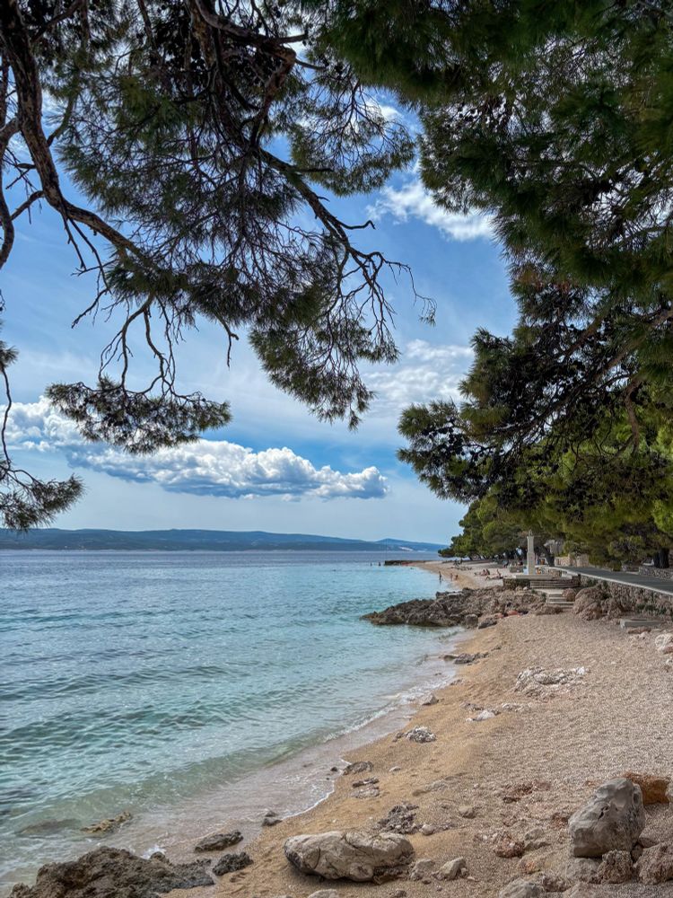 A pebbly beach in Croatia, with pine trees providing shade, looking out to the bright blue sea and blue skies with fluffy clouds. 
