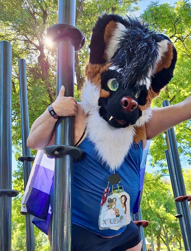 A chubby wild dog on some metal bamboo poles