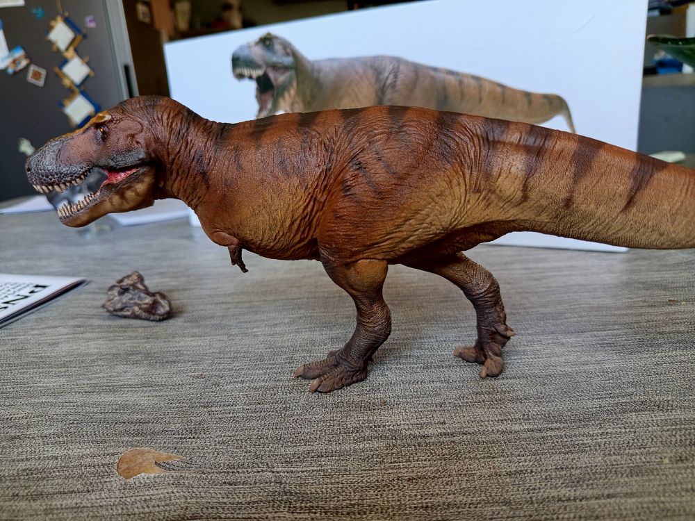 Tyrannosaurus rex 