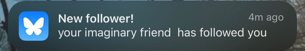 Bluesky notification of a new follower: Your imaginary friend has followed you