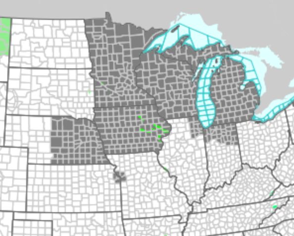 National Weather Service map of northern US showing gray air quality alerts covering Minnesota, Wisconsin, Michigan, Iowa, half of Nebraska, and bits of Illinois and Indiana.