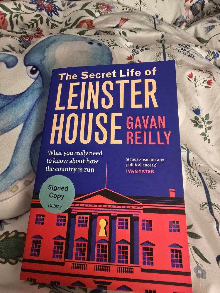 Cover of gav reilly's book the secret life of leinster house.