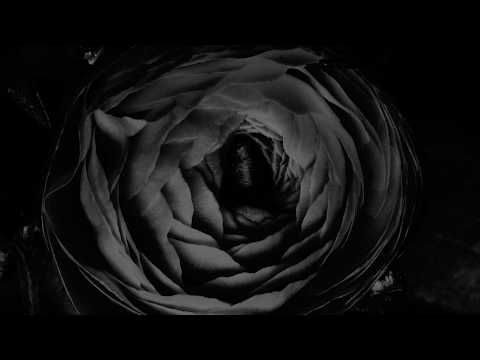 ORANSSI PAZUZU - Muuntautuja (FULL ALBUM VISUALIZER)