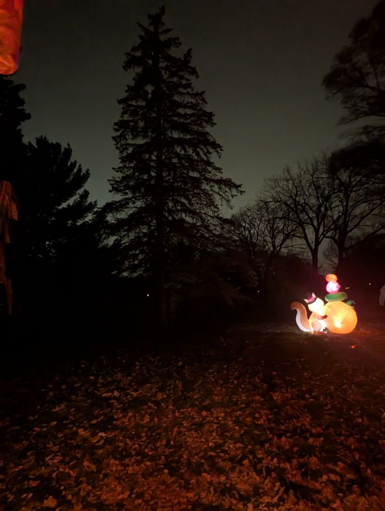 Pine tree with a Thanksgiving inflatable of a Squirrel with fall harvest produce. Sky behind to the west bright from the reflection of the Riverdale Center Shopping district lights. 