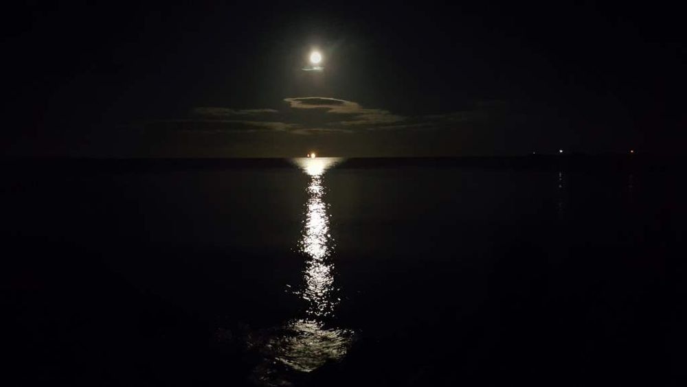 full moon shining on a very still sea. a bright strip of moonlight reflects on the water.