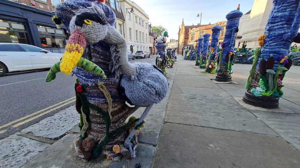series of 10 or so bollards on a pavement each with knitted cosies on. they are all decorated with nature scenes. the closest one is a heron which has caught a fish.