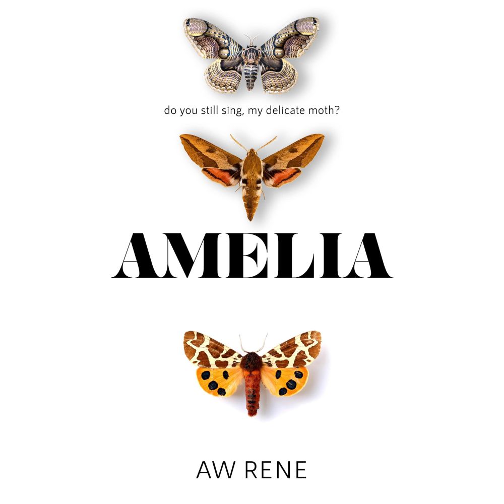 Bon’s review of Amelia