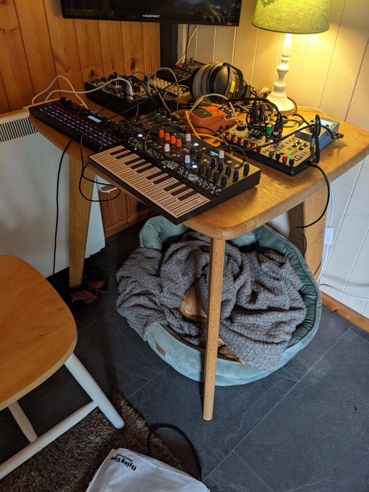 music setup in context, with dog sleeping underneath