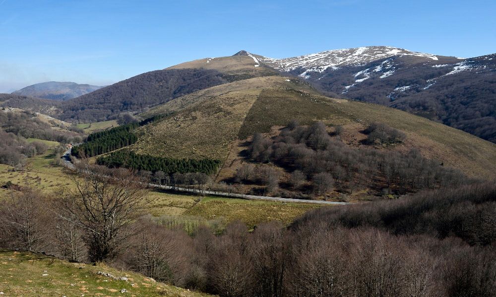 La carretera de Belate, que une los valles de Ultzama y Baztan. Foto: Paulo Etxeberria