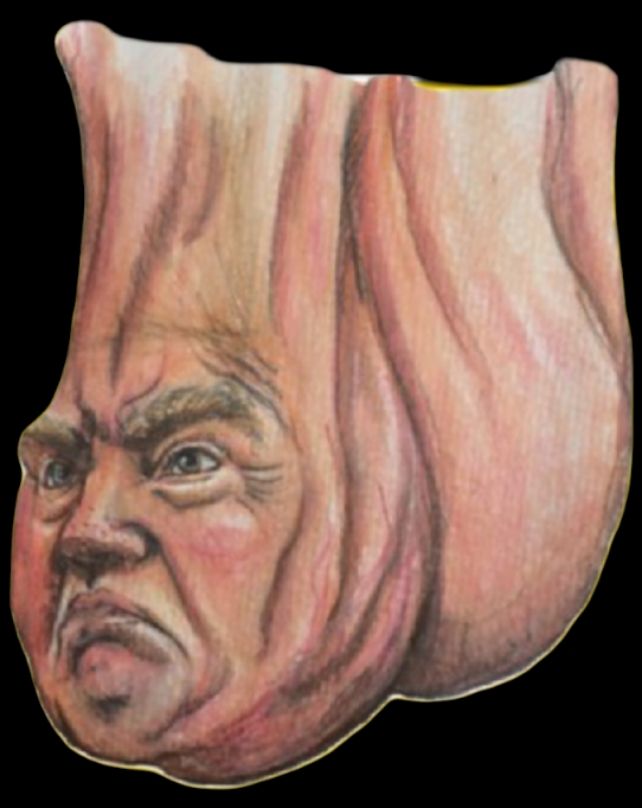 Comment image