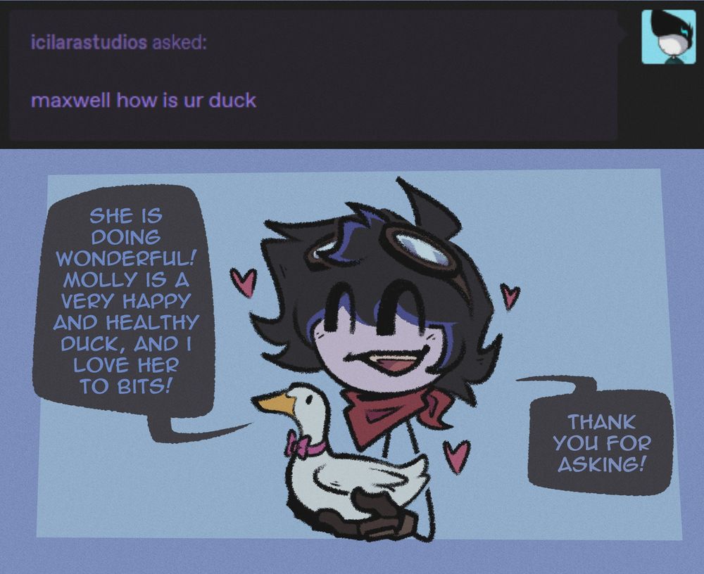 icilarastudios asked: maxwell how is ur duck

Maxwell, happily holding his duck: She is doing wonderful! Molly is a very happy and healthy duck!
Thank you for asking!