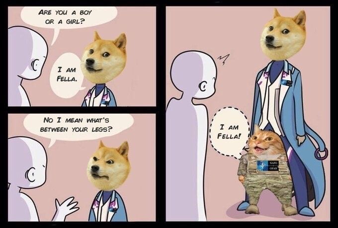 Comment image