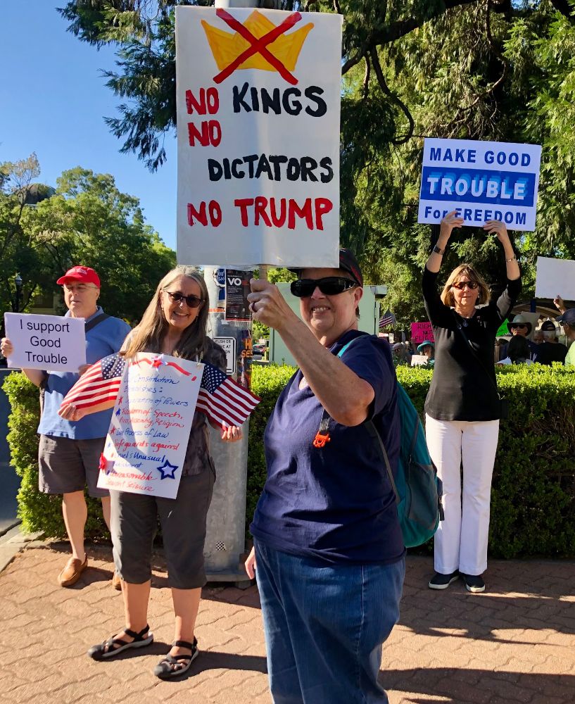 Protest sign at #goodtrouble rally in Healdsburg