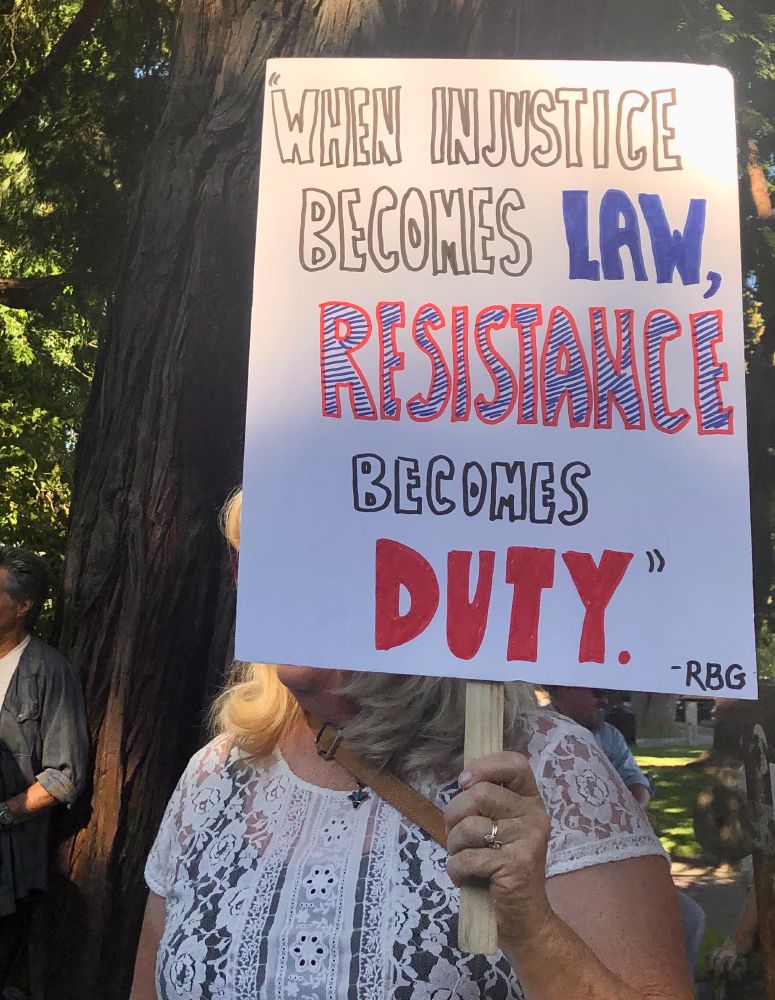 Protest sign at #goodtrouble rally in Healdsburg