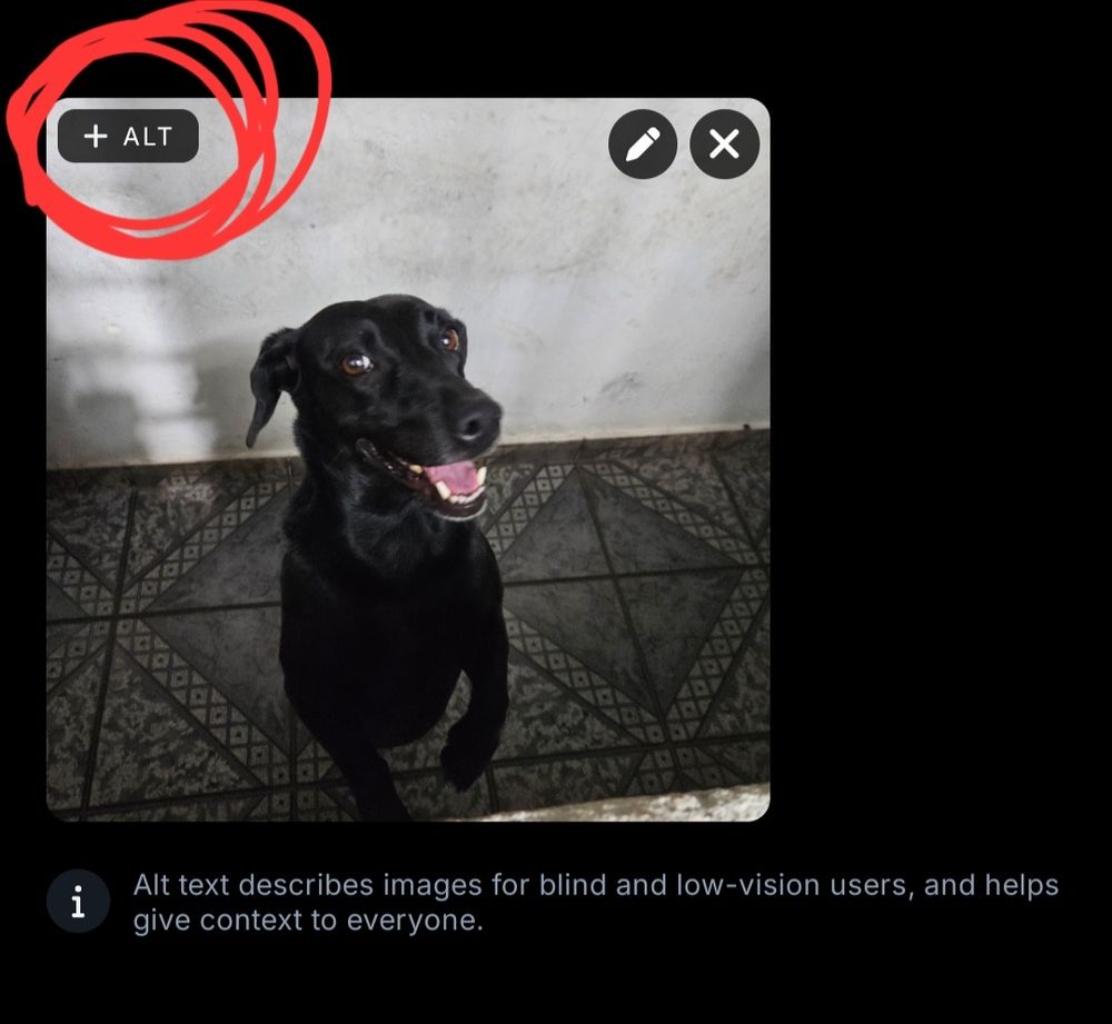 Uma captura de tela mostrando onde fica o botão de acrescentar texto alternativo.