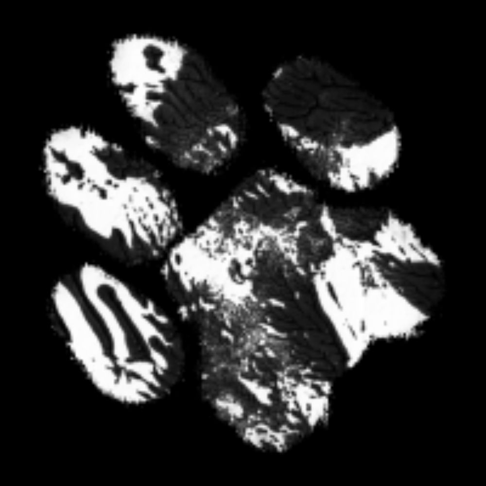 the inky pawprint