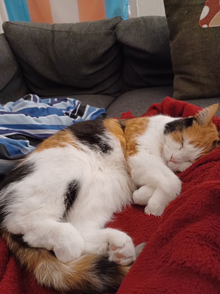 She is so soft. She is so round. 