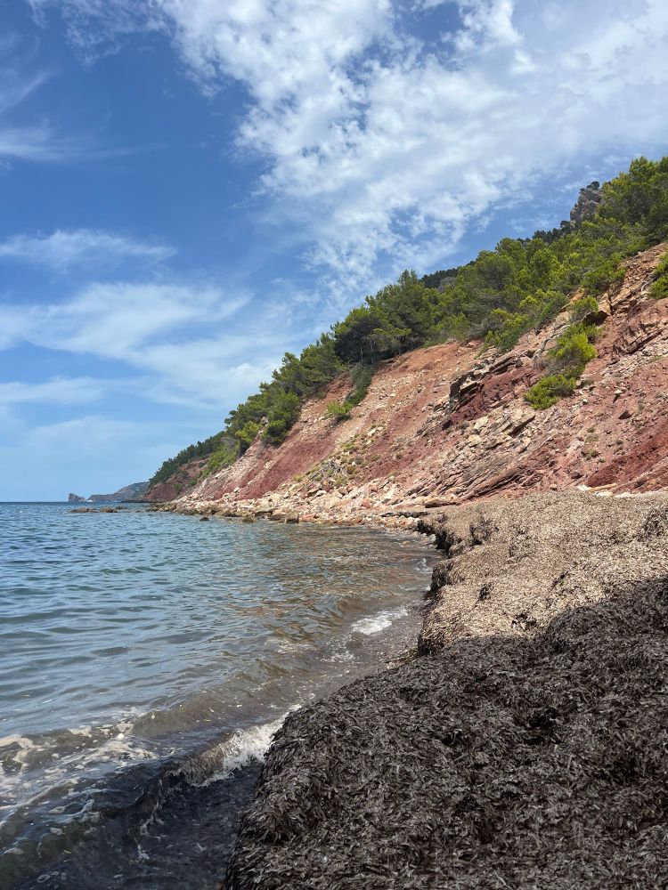 Blick eine Bucht entlang. Strand mit getrocknetem Tang gepolstert, nach oben hin roter Stein und grüne Büsche. Es ist sehr sonnig 