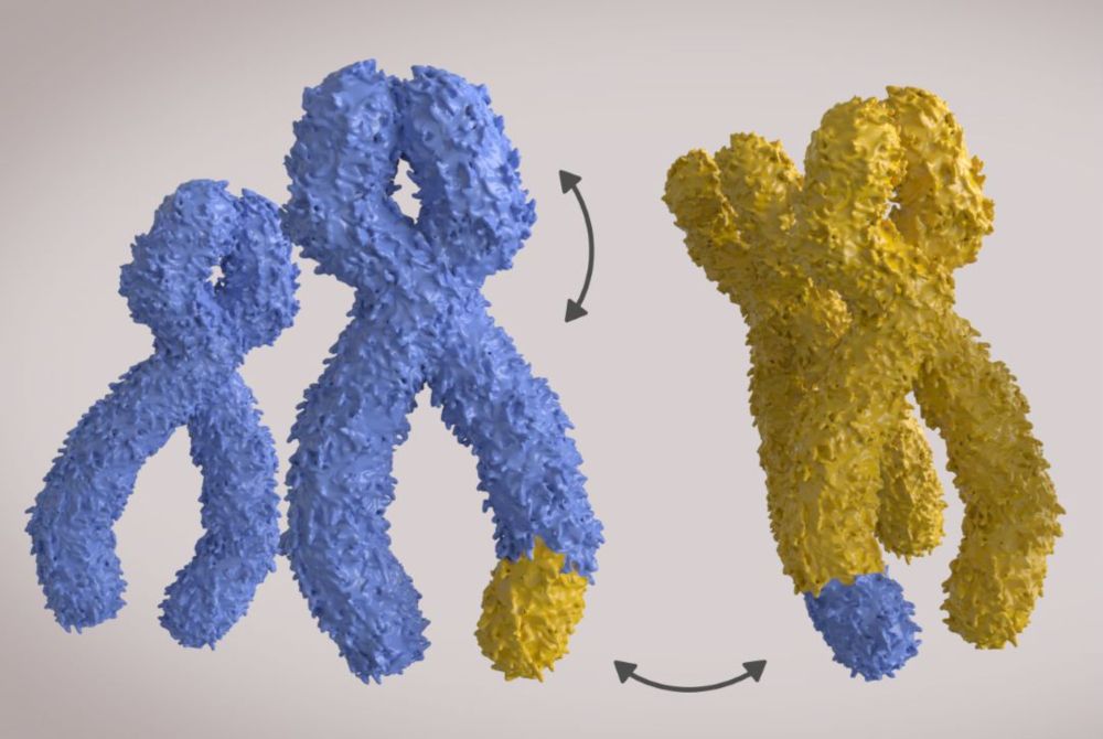 New tool reveals how breast and lung tumours avoid immune detection