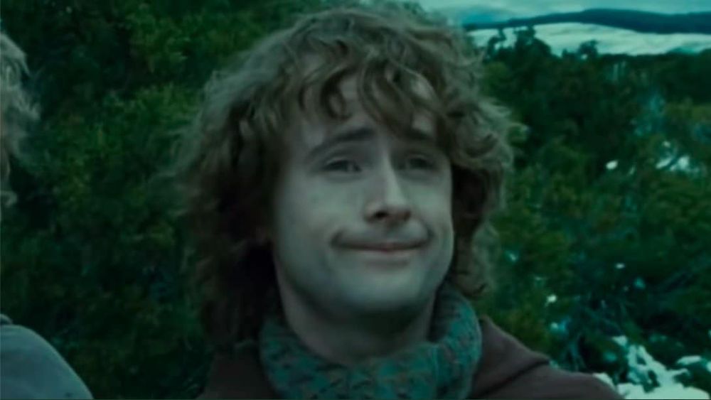 A memed image of Pippin in the Fellowship of the Ring film, where he asks Aragorn about 'second-breakfast'.