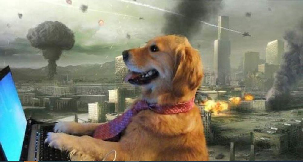A meme of a golden retriever wearing a tie and sitting with its paws on a computer keyboard, with a contented expression on its face. In the background, there's a scene of war with explosions, mushroom clouds, and planes attaching a city.