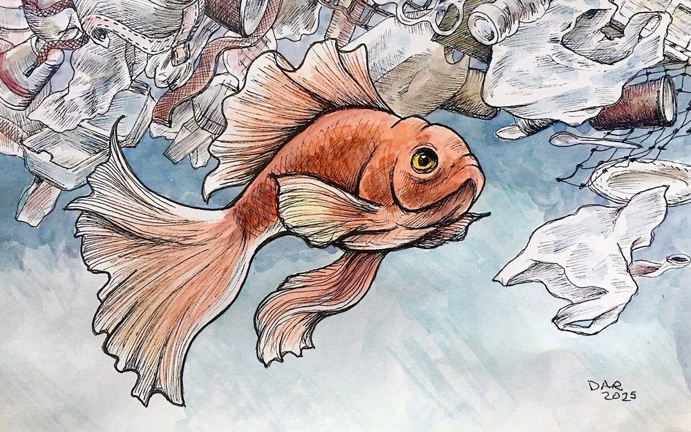 A goldfish, with fluttery fins and tail, floats under a vast field of trash deposited in it’s body of water. 