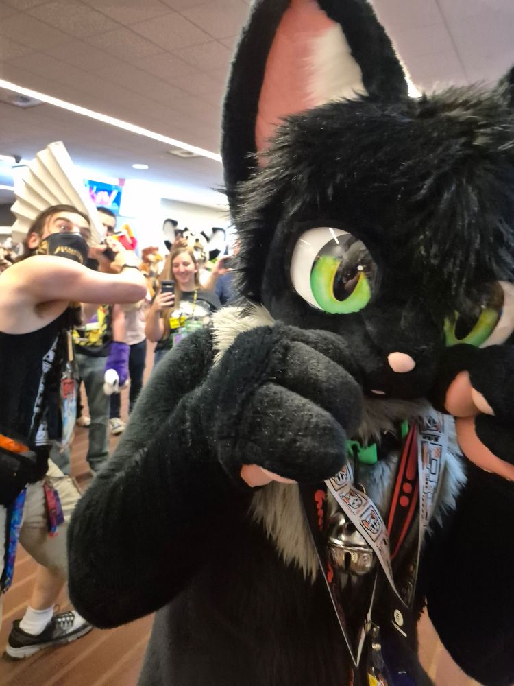 Cute black cat fursuit poses for a photo, unaware someone is sneaking behind them with a giant paper fan, ready to attack
